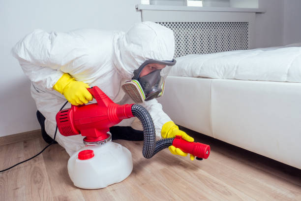 Pest Prevention Services in Fountain Hill, PA